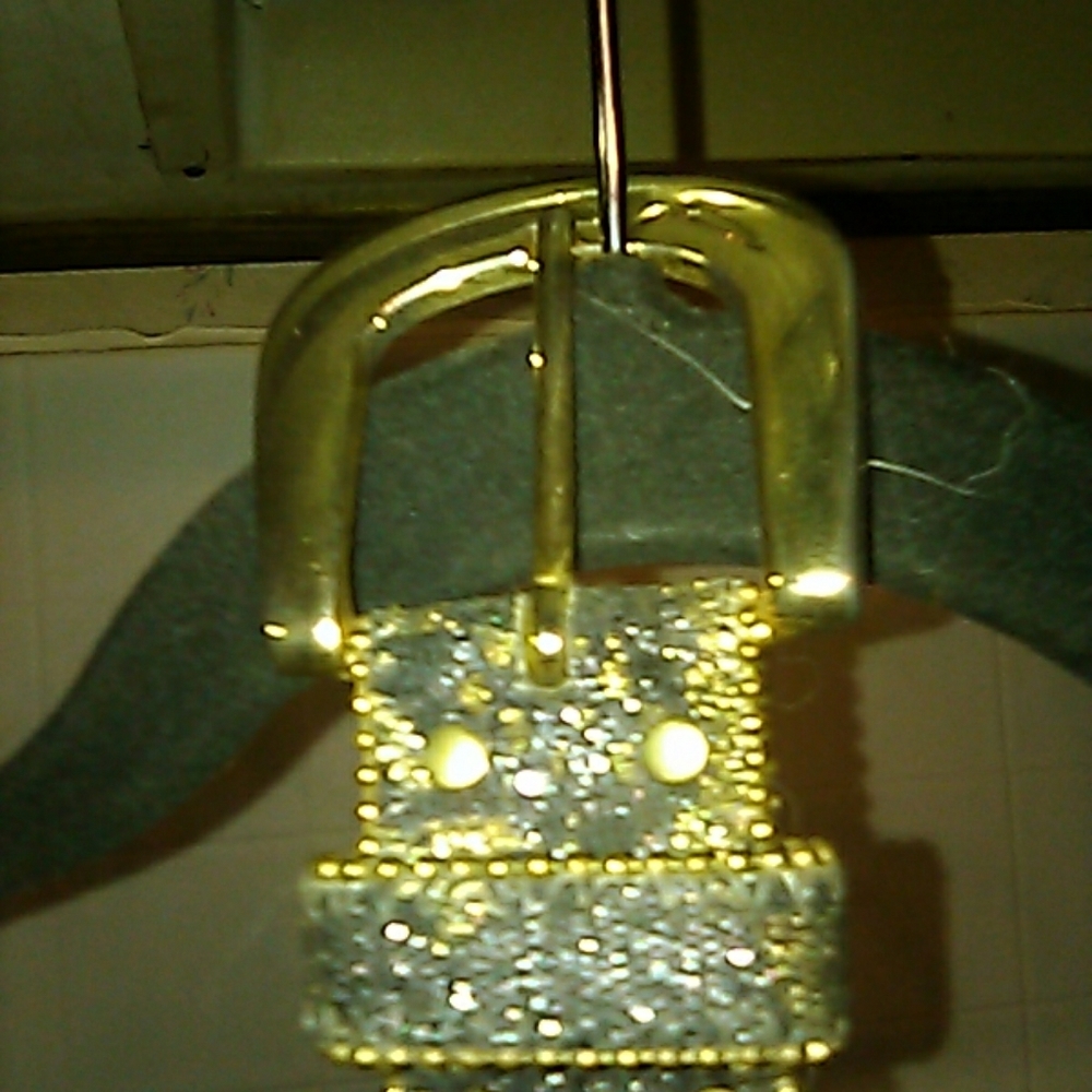 Belt